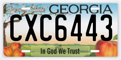 GA license plate CXC6443