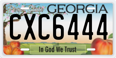GA license plate CXC6444