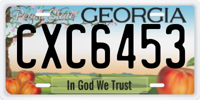 GA license plate CXC6453