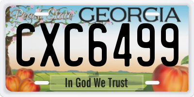 GA license plate CXC6499