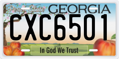 GA license plate CXC6501