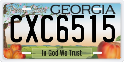 GA license plate CXC6515