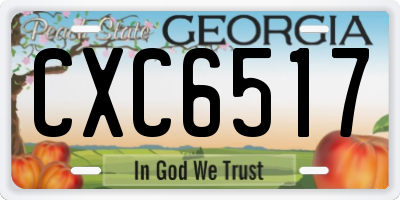 GA license plate CXC6517