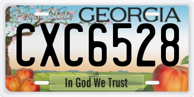 GA license plate CXC6528