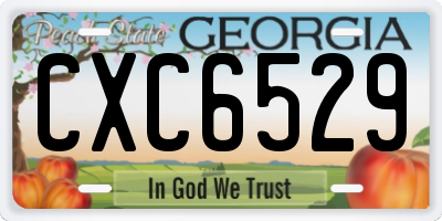 GA license plate CXC6529