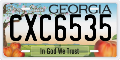GA license plate CXC6535