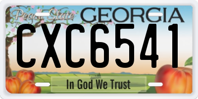GA license plate CXC6541