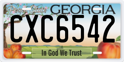 GA license plate CXC6542