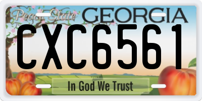 GA license plate CXC6561