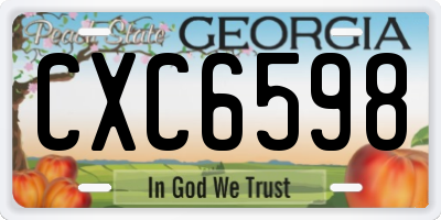 GA license plate CXC6598