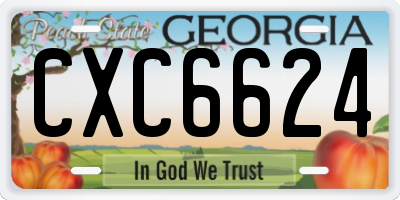 GA license plate CXC6624
