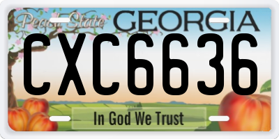 GA license plate CXC6636