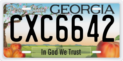 GA license plate CXC6642