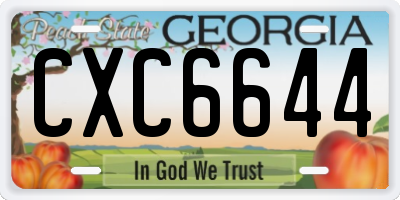 GA license plate CXC6644