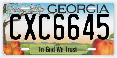 GA license plate CXC6645