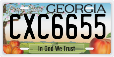 GA license plate CXC6655