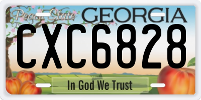 GA license plate CXC6828