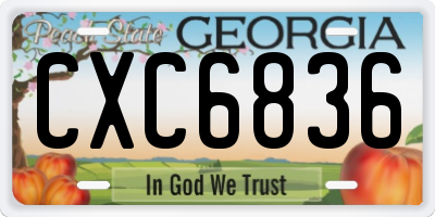 GA license plate CXC6836