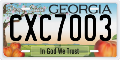 GA license plate CXC7003