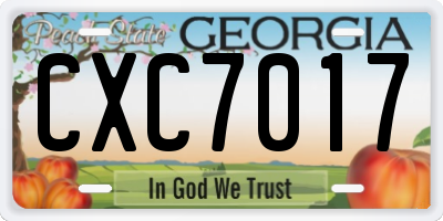 GA license plate CXC7017