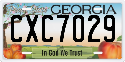 GA license plate CXC7029