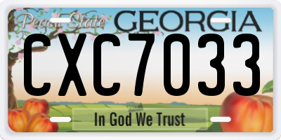 GA license plate CXC7033