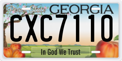 GA license plate CXC7110