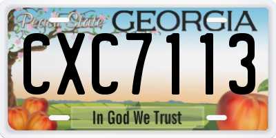 GA license plate CXC7113