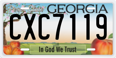 GA license plate CXC7119