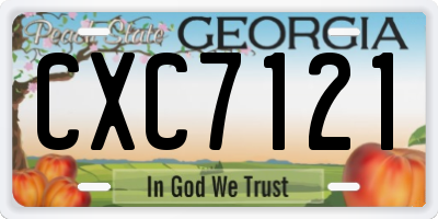 GA license plate CXC7121