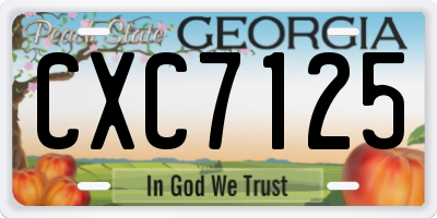 GA license plate CXC7125