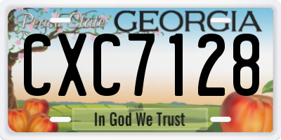 GA license plate CXC7128