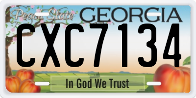 GA license plate CXC7134