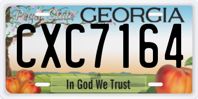 GA license plate CXC7164