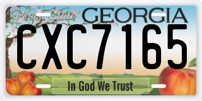 GA license plate CXC7165