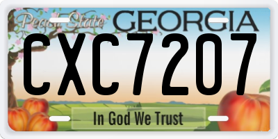 GA license plate CXC7207