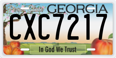 GA license plate CXC7217