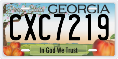 GA license plate CXC7219