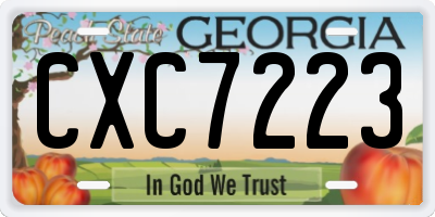 GA license plate CXC7223