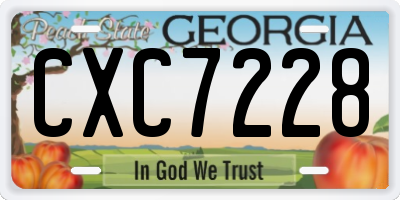 GA license plate CXC7228