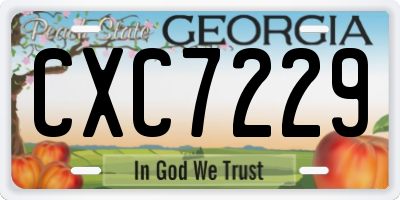 GA license plate CXC7229