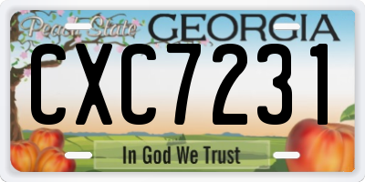 GA license plate CXC7231