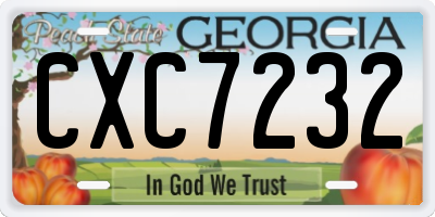 GA license plate CXC7232