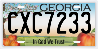 GA license plate CXC7233
