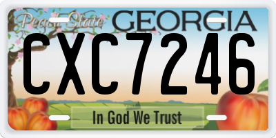 GA license plate CXC7246