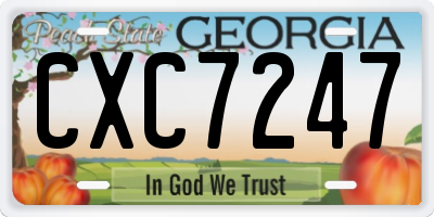 GA license plate CXC7247