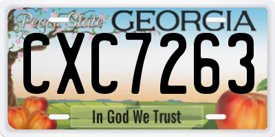 GA license plate CXC7263