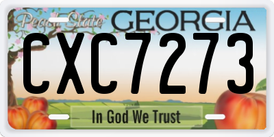 GA license plate CXC7273
