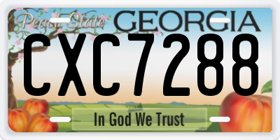 GA license plate CXC7288