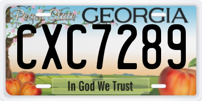 GA license plate CXC7289